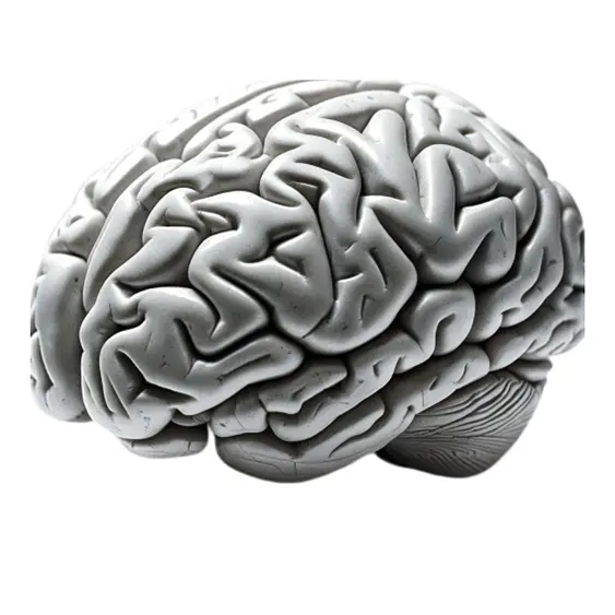 Neurochirurgie