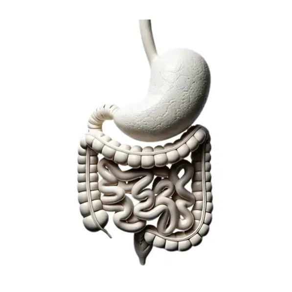 Chirurgie viscérale